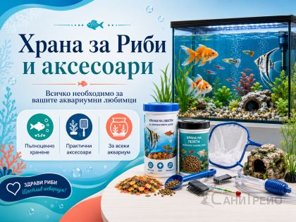 Акваристика