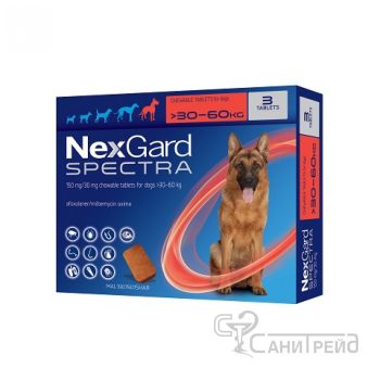 НЕКСГАРД СПЕКТРА Кч 30-60кг XL табл